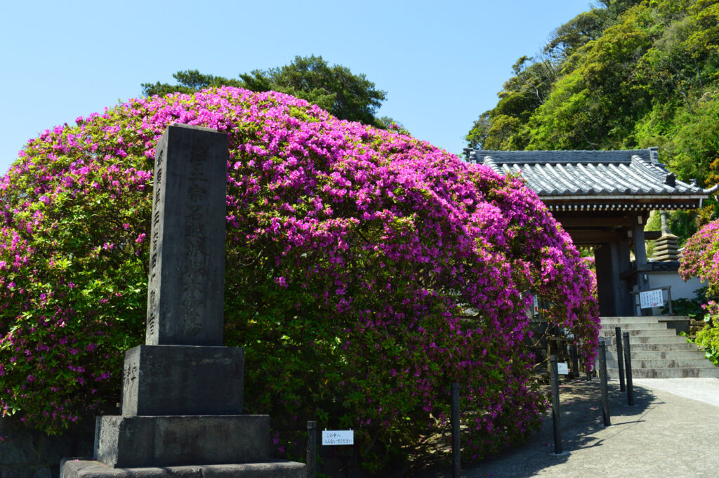 foto del portale che porta al tempio An'yō-in di kamakura 