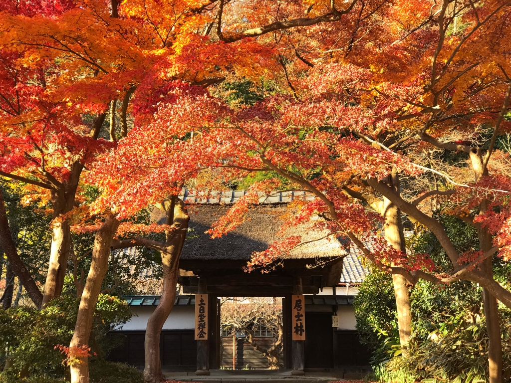 foto dell'ingresso del tempio engakuji di kamakura