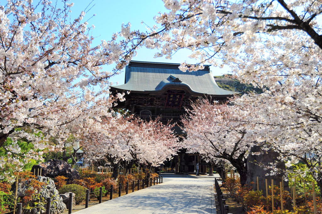foto del tempio kenchoji di kamakura